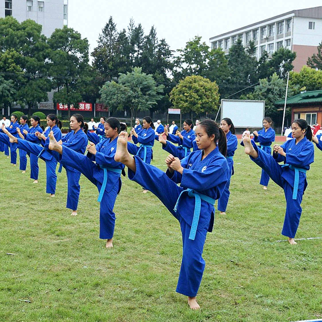 Poomsae 2026: Vietnam Has The Gold, But This Victory Needs To Be Read Correctly Poomsae 2026: Vietnam Has The Gold, But This Victory Needs To Be Read Correctly