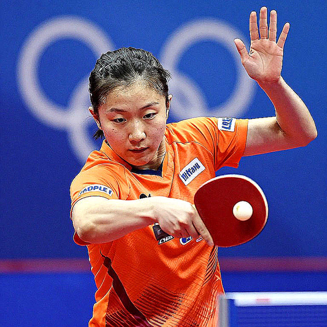 Sheffield và World Hopes Week 2026: Khi ITTF chọn không xoay vòng Sheffield và World Hopes Week 2026: Khi ITTF chọn không xoay vòng